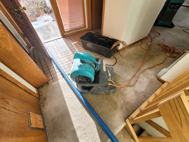 Best Sewage cleanup and water damage restoration  in Worthgton, IN