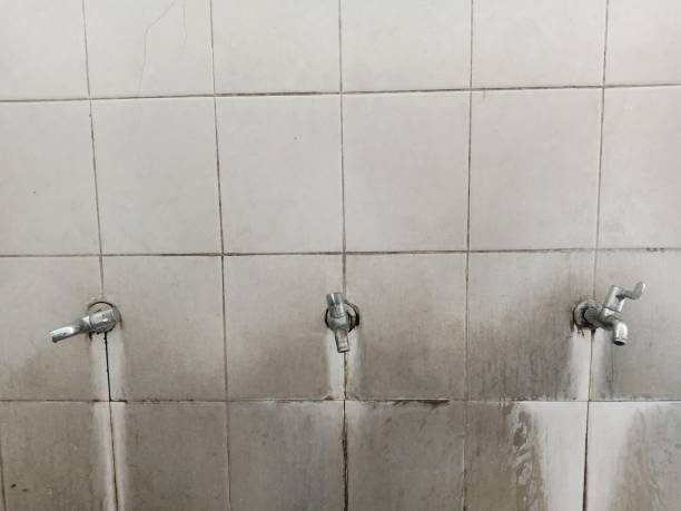 Best Professional water damage repair  in Worthgton, IN